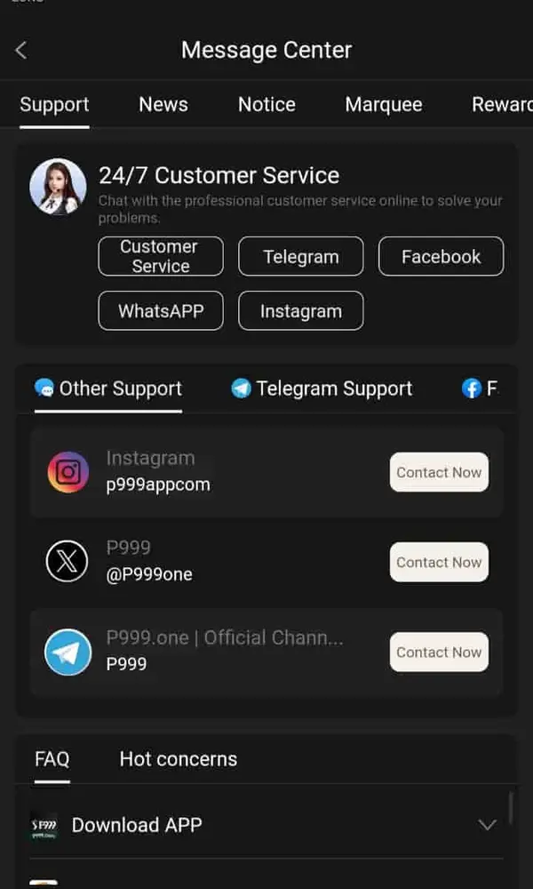 P999 Game login